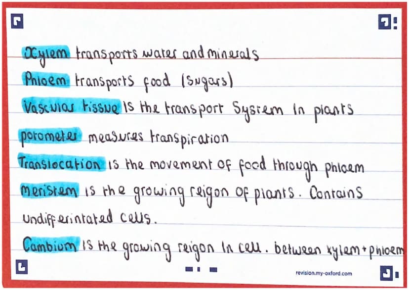 P
Roman conquest.
King → kingdorn
prawn → phylum
Query → Class
brordus
Cale fany
Greasy → Genus
店
新
Sausage →→Species A
revision.my-axford.c