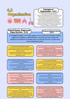 Know GCSE AQA Biology Specification Notes (up until 4.3.2) thumbnail