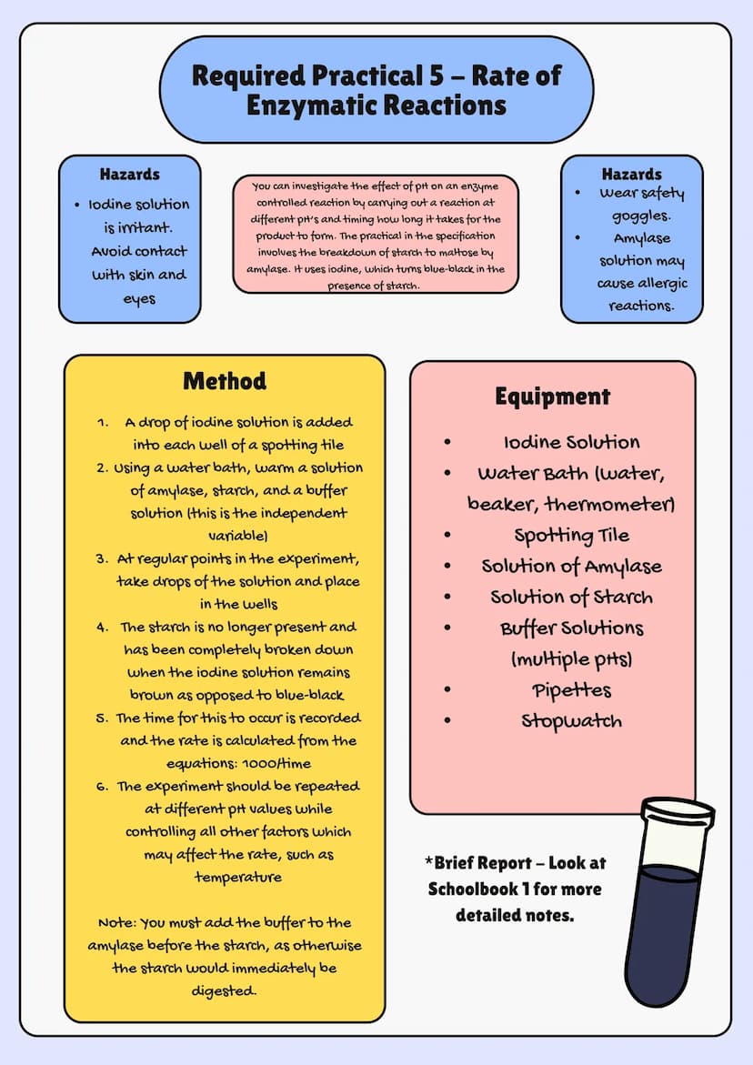 
<h2 id="aqagcsebiologyspecification2023">AQA GCSE Biology Specification 2023</h2>
<p>In GCSE Biology, one of the crucial topics is Organiza