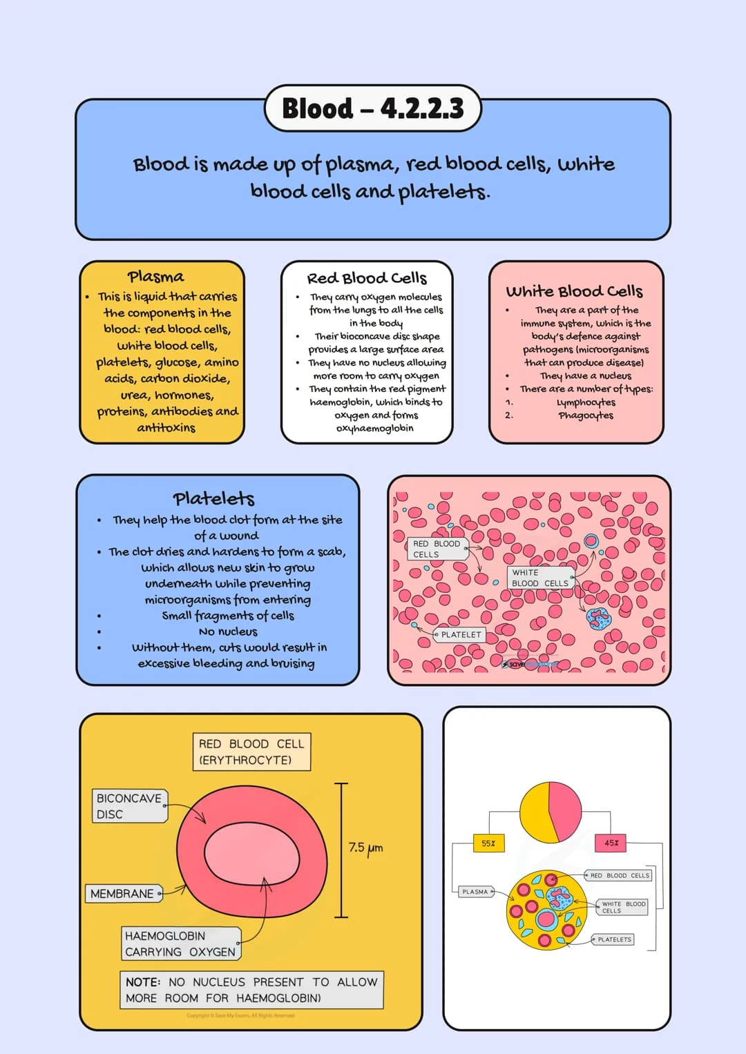 
<h2 id="aqagcsebiologyspecification2023">AQA GCSE Biology Specification 2023</h2>
<p>In GCSE Biology, one of the crucial topics is Organiza