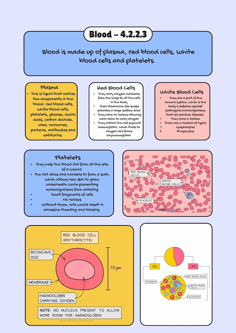 
<h2 id="aqagcsebiologyspecification2023">AQA GCSE Biology Specification 2023</h2>
<p>In GCSE Biology, one of the crucial topics is Organiza