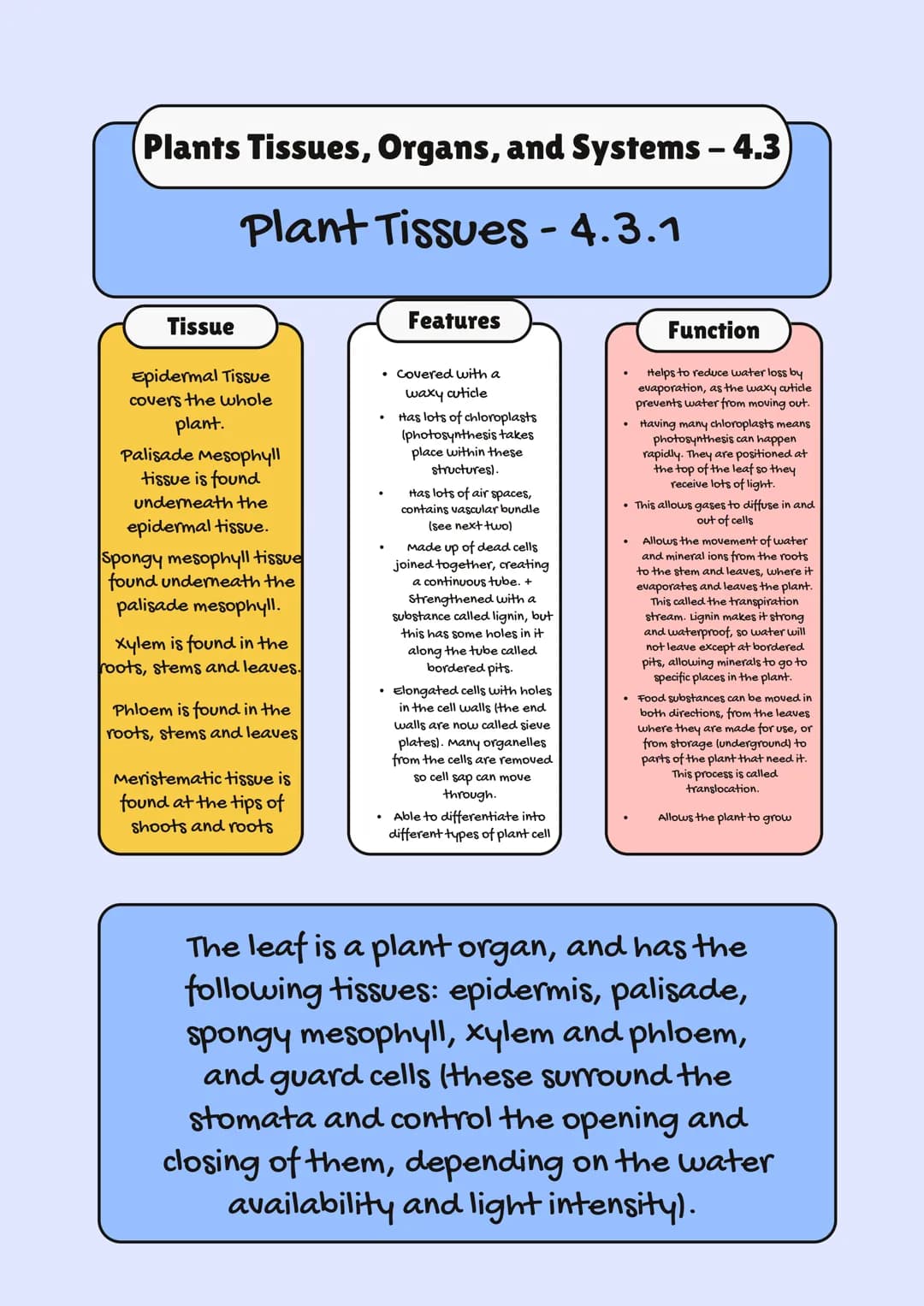 
<h2 id="aqagcsebiologyspecification2023">AQA GCSE Biology Specification 2023</h2>
<p>In GCSE Biology, one of the crucial topics is Organiza