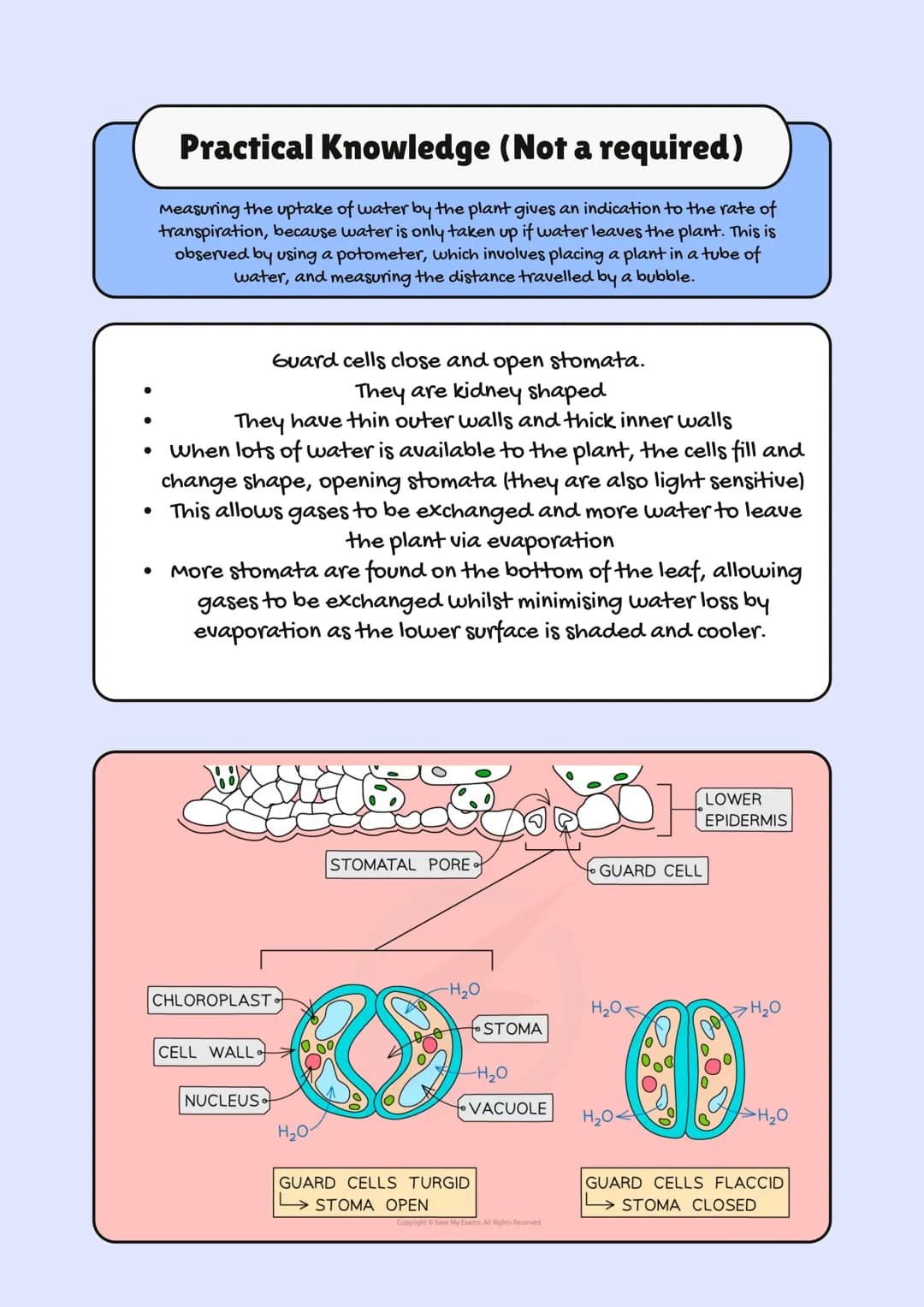 
<h2 id="aqagcsebiologyspecification2023">AQA GCSE Biology Specification 2023</h2>
<p>In GCSE Biology, one of the crucial topics is Organiza