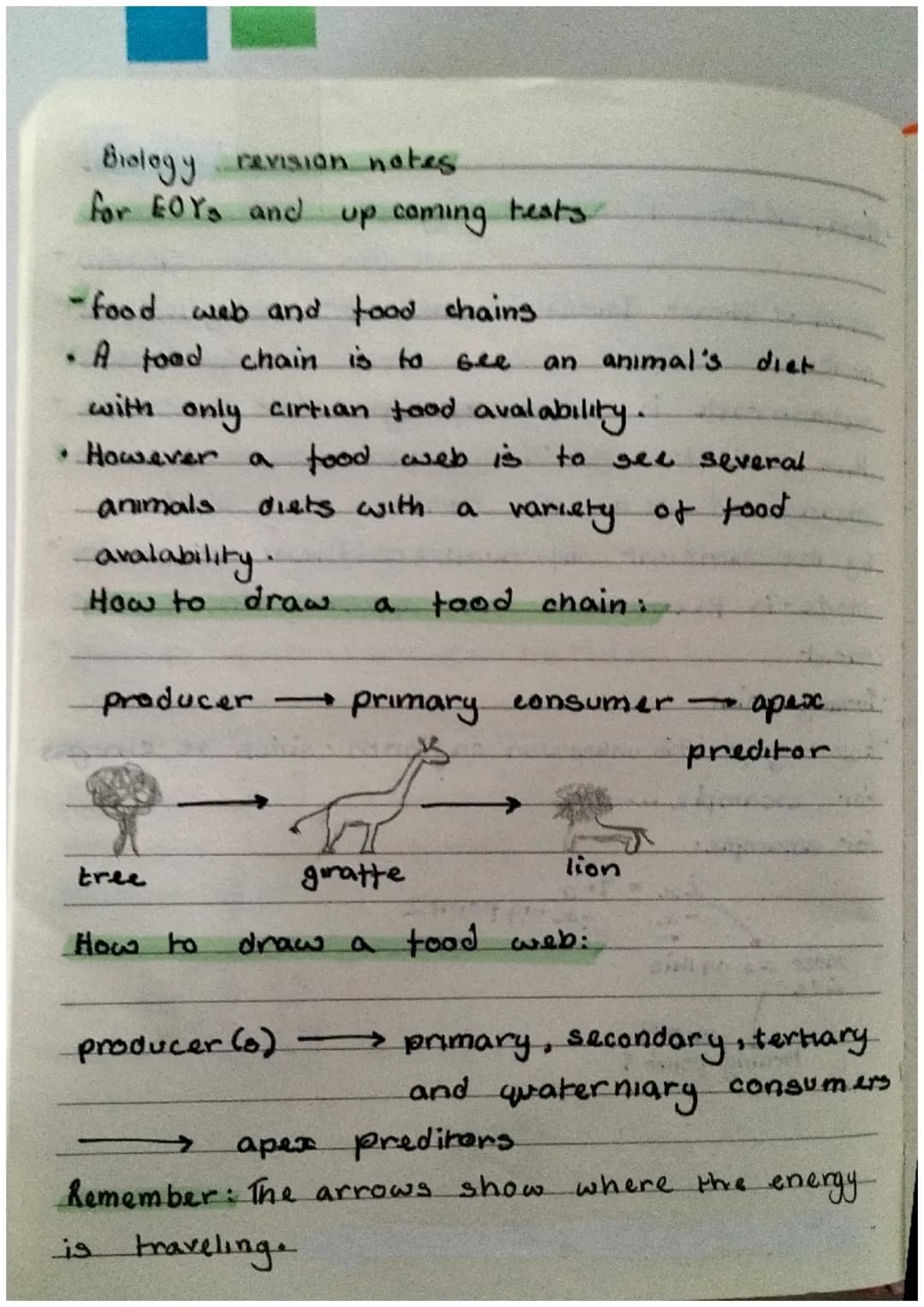 Biology revision notes
for EOYS and
-food web and food chains
• A food chain is to bee
with only cirtian food avalability.
• However a food 