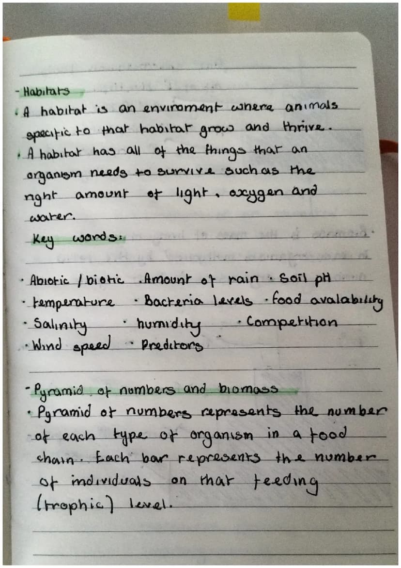 Biology revision notes
for EOYS and
-food web and food chains
• A food chain is to bee
with only cirtian food avalability.
• However a food 