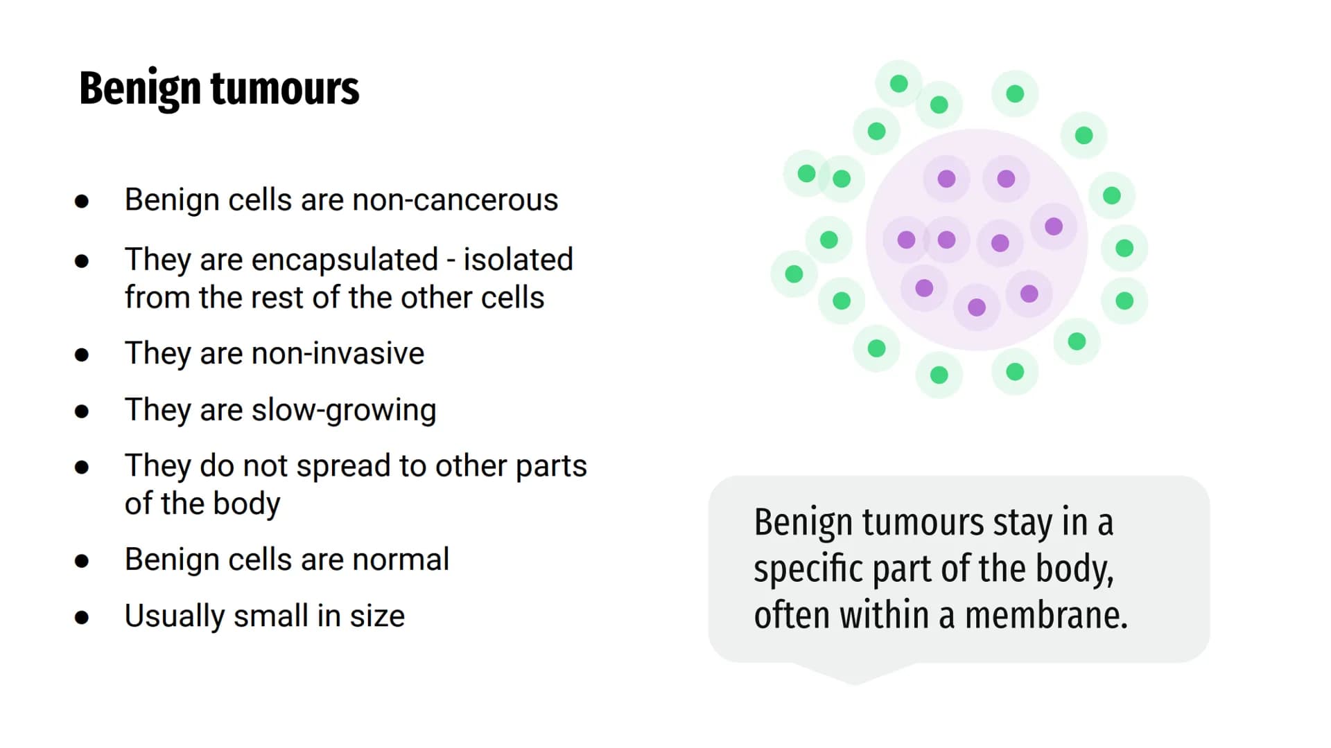 CANCERS AND
TUMOURS BENIGN
TUMOURS
@aleyahafsa What is a tumour?
A tumour is a lump or growth of
tissue made up from abnormal cells.
Tumours