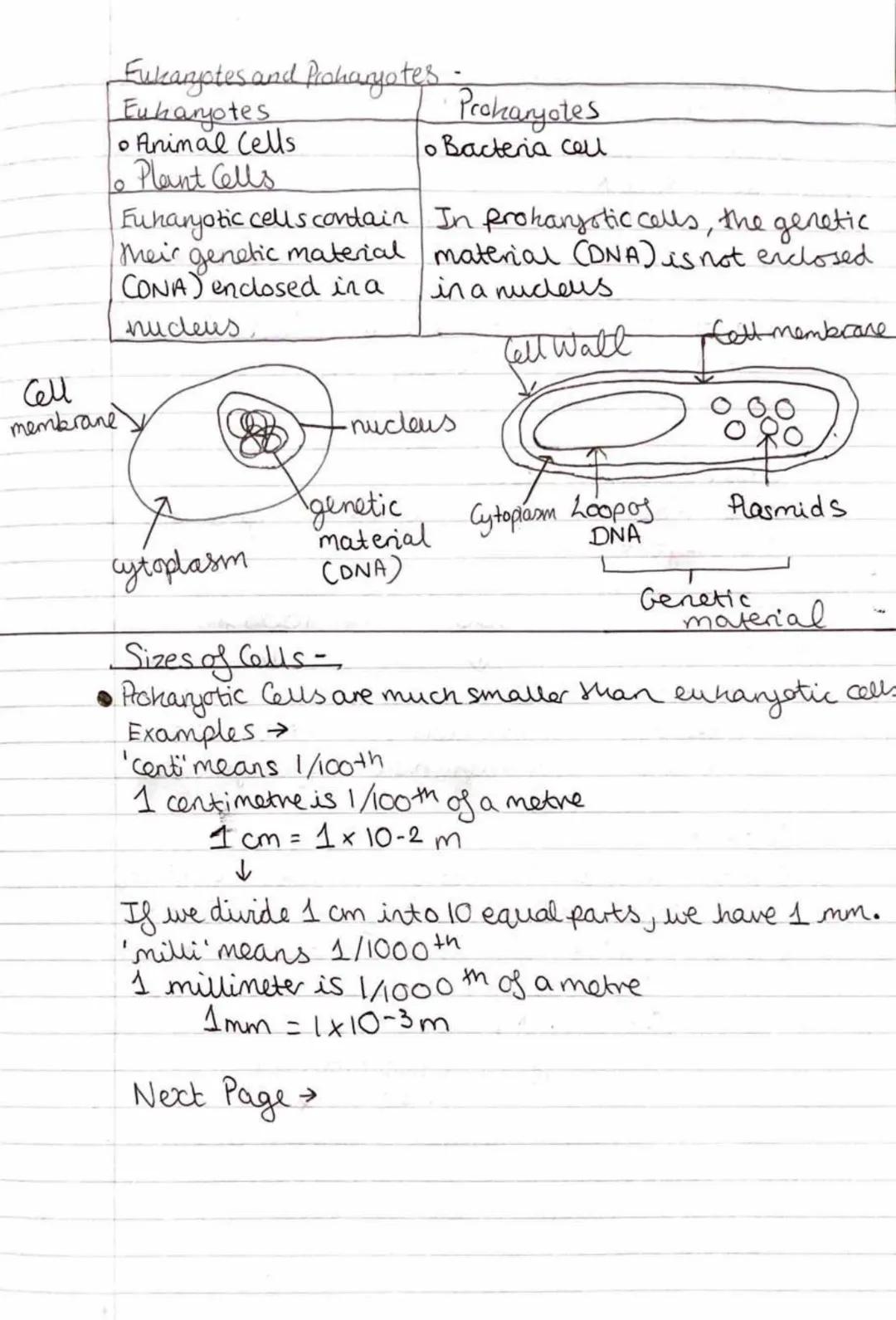 
<h2 id="definition">Definition</h2>
<p>Eukaryotic cells contain their genetic material (DNA) enclosed in a nucleus, while prokaryotic cells