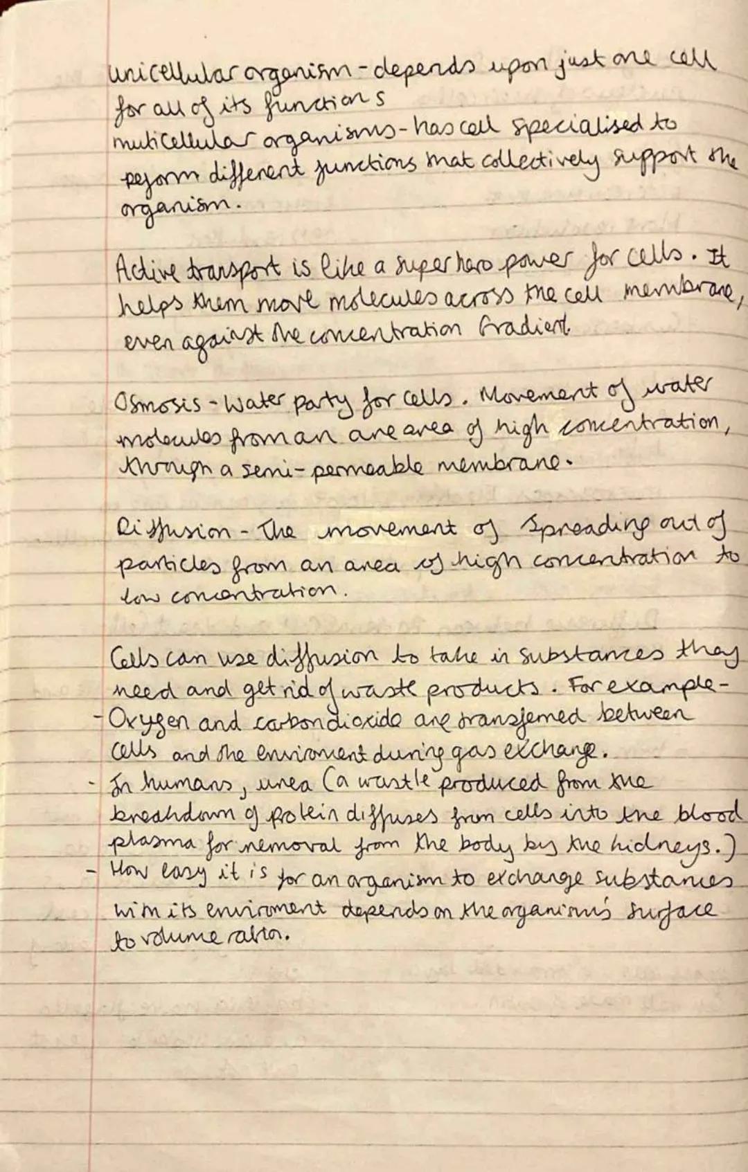 
<h2 id="definition">Definition</h2>
<p>Eukaryotic cells contain their genetic material (DNA) enclosed in a nucleus, while prokaryotic cells