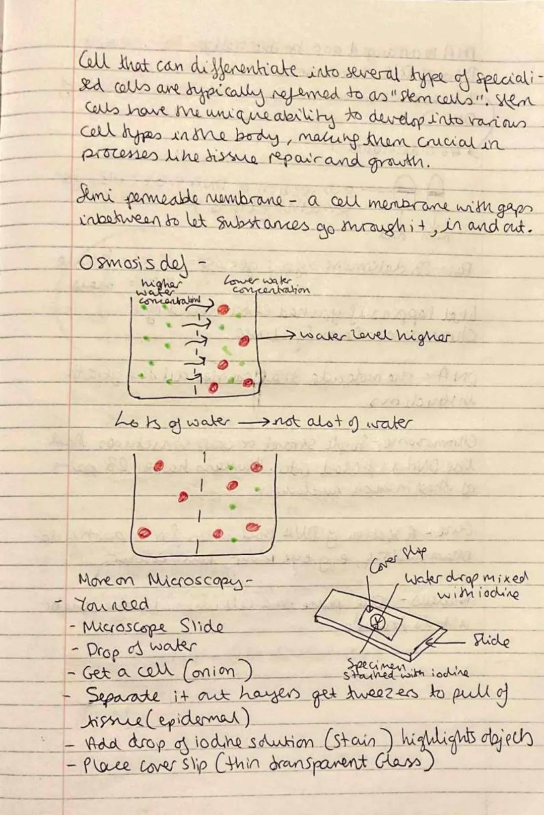 
<h2 id="definition">Definition</h2>
<p>Eukaryotic cells contain their genetic material (DNA) enclosed in a nucleus, while prokaryotic cells