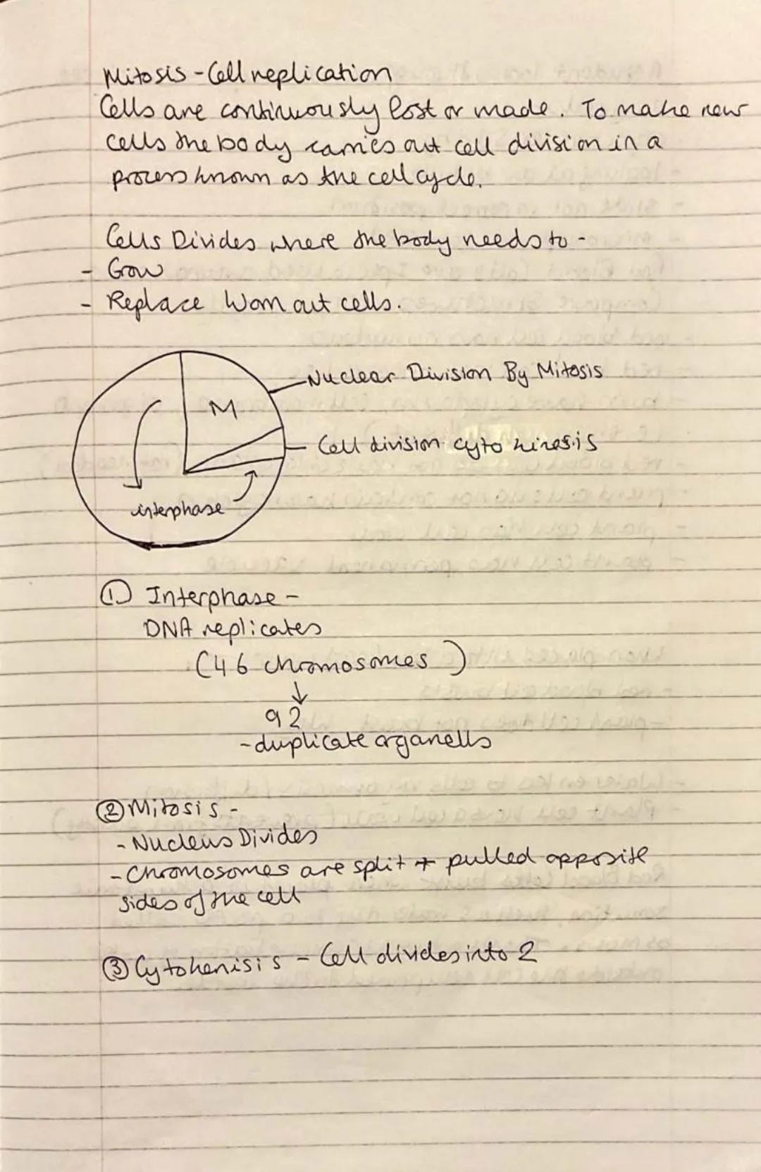 
<h2 id="definition">Definition</h2>
<p>Eukaryotic cells contain their genetic material (DNA) enclosed in a nucleus, while prokaryotic cells