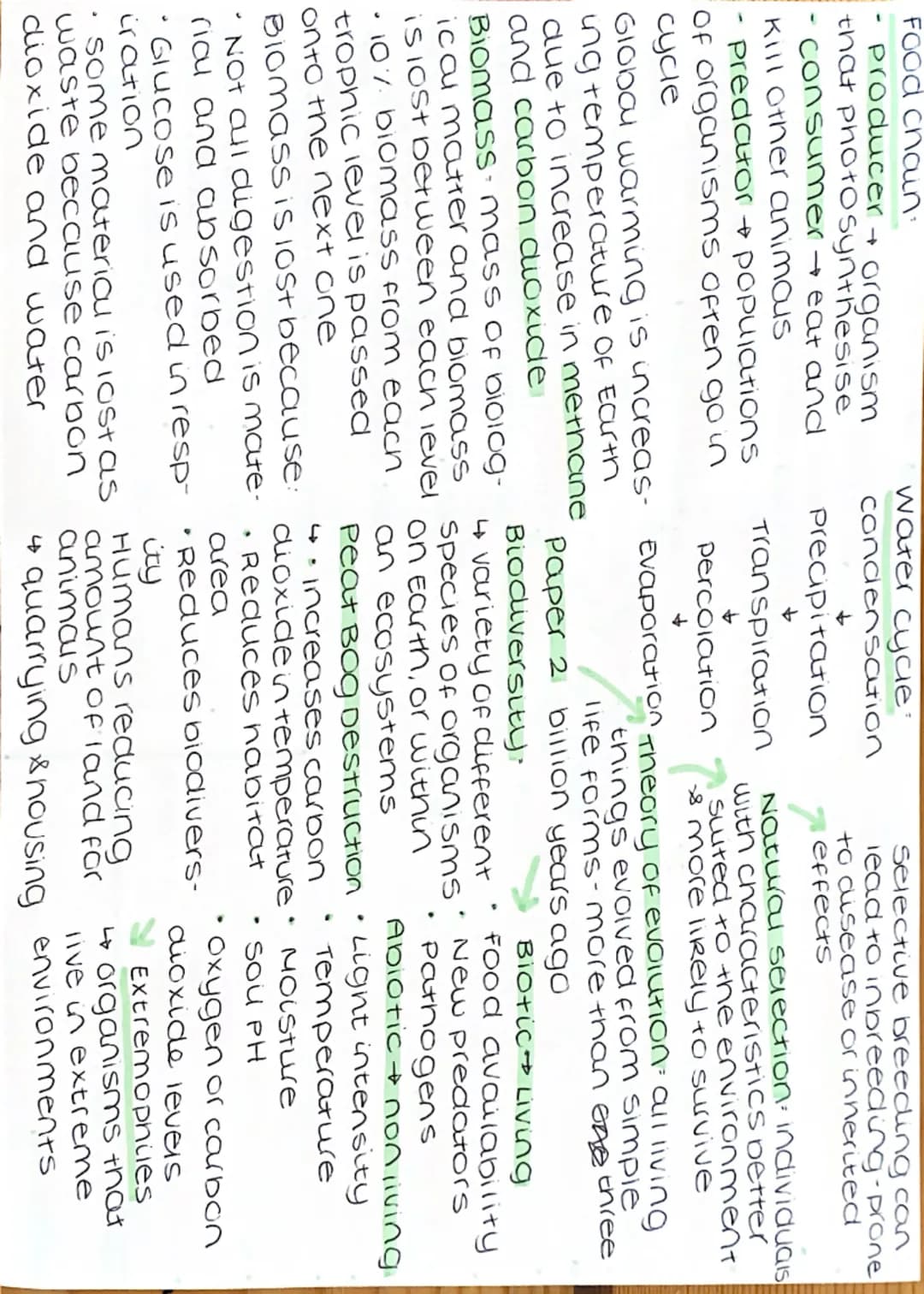 biology paper 2 mindmap 