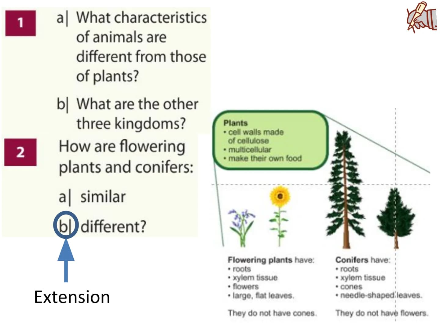 c/w 8Ba Classification and biodiversity
LOS: To be able to:
interpret scientific organism names;
- describe how organisms are classified;
ex