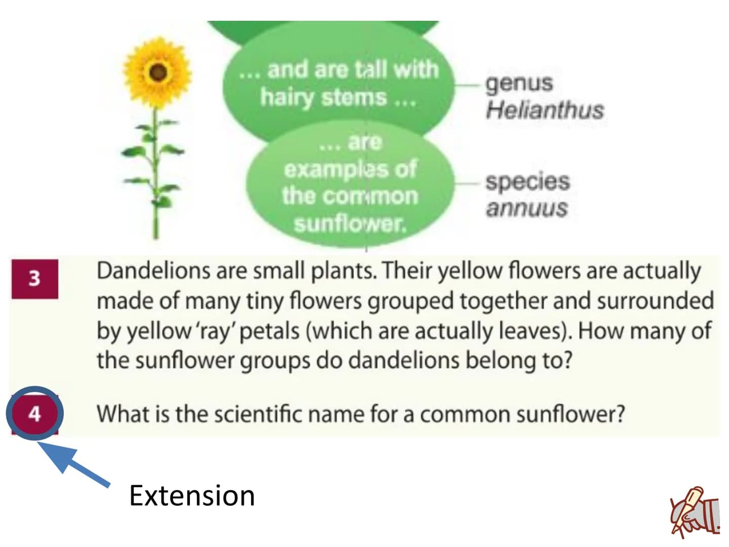 c/w 8Ba Classification and biodiversity
LOS: To be able to:
interpret scientific organism names;
- describe how organisms are classified;
ex