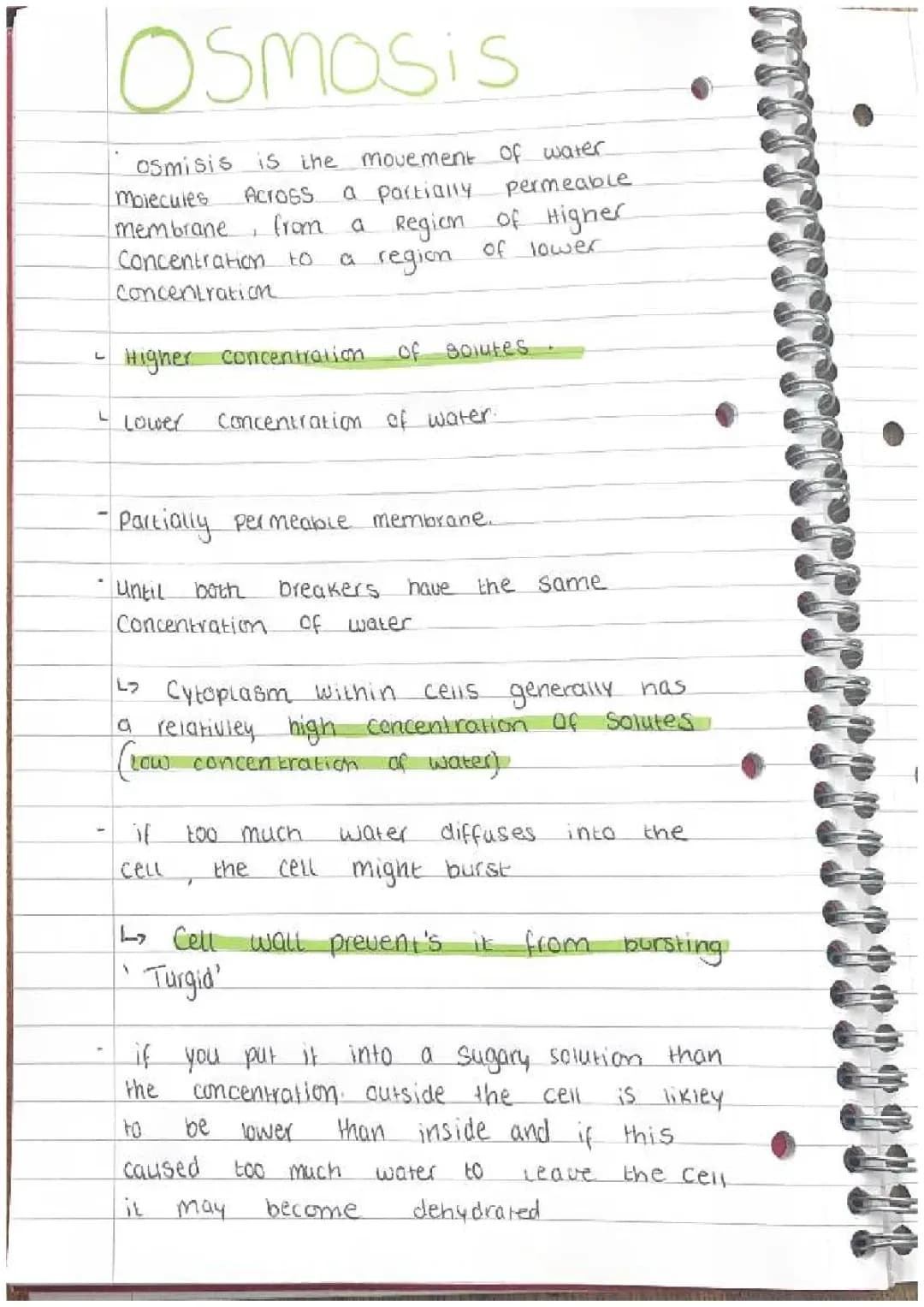 How Fun Science Stuff Moves: Osmosis and Active Transport!