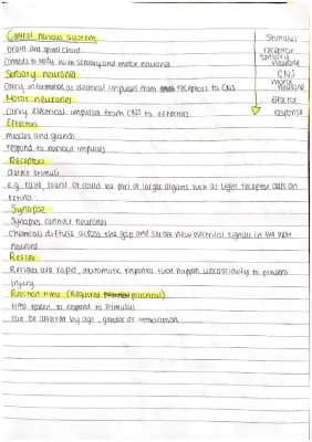 Know The Nervous System, Brain and Eyes  thumbnail