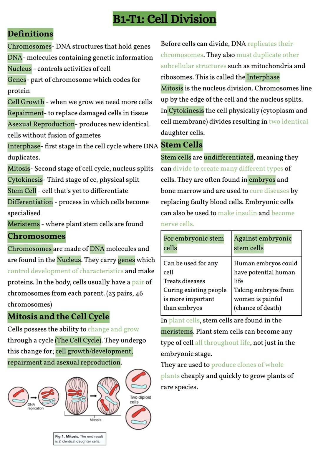 GCSE AQA B1-T1: Cell Division