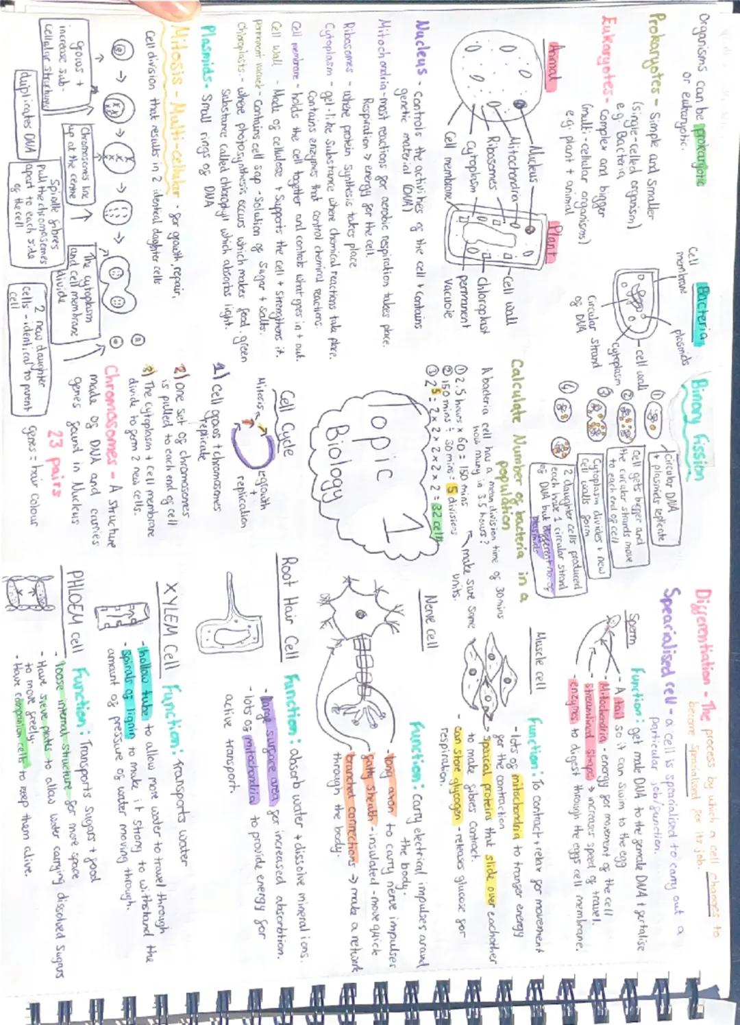 # Topic 1
# Biology

Organisms can be:

# Prokaryotes
- Simple and Smaller
(e.g. Bacteria)
- Single-celled organism

# Eukaryotes
- Complex 