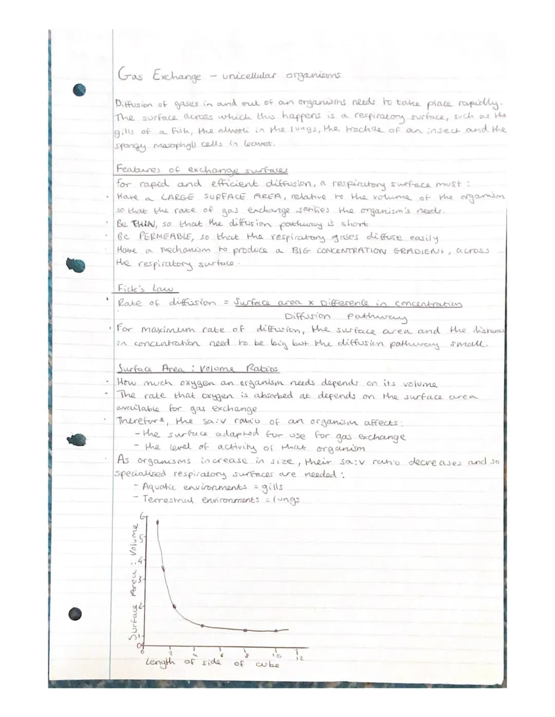 Gas Exchange
- unicellular organisons
Diffusion of gases in and out of an organisms needs to take place rapidly.
The surface across which th
