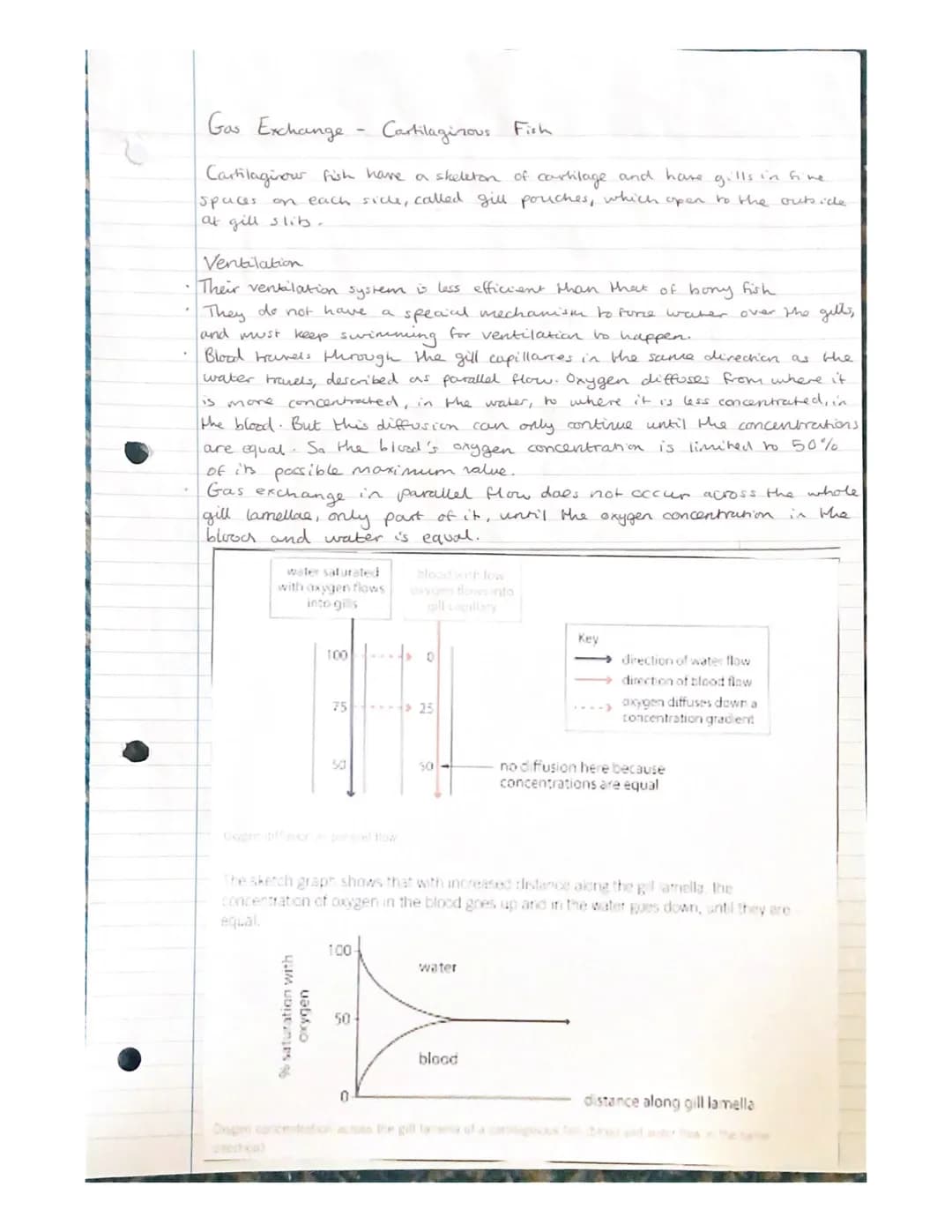 Gas Exchange
- unicellular organisons
Diffusion of gases in and out of an organisms needs to take place rapidly.
The surface across which th