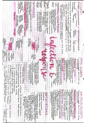 Know Biology: Infection and response - notes thumbnail