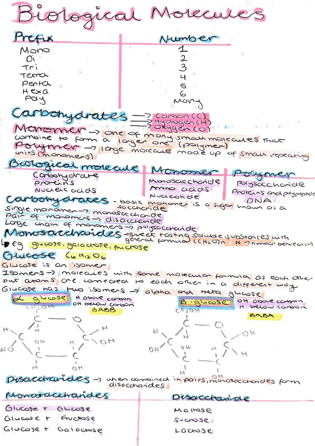 A Level Biology - Carbohydrates and Biological Molecules