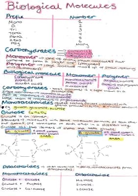 Know A level Biology- Biological Molecules thumbnail