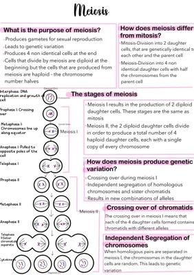 Know Meiosis thumbnail