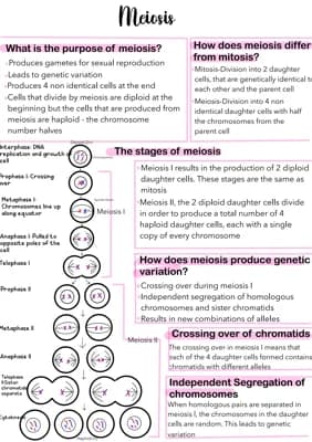 Know Meiosis thumbnail