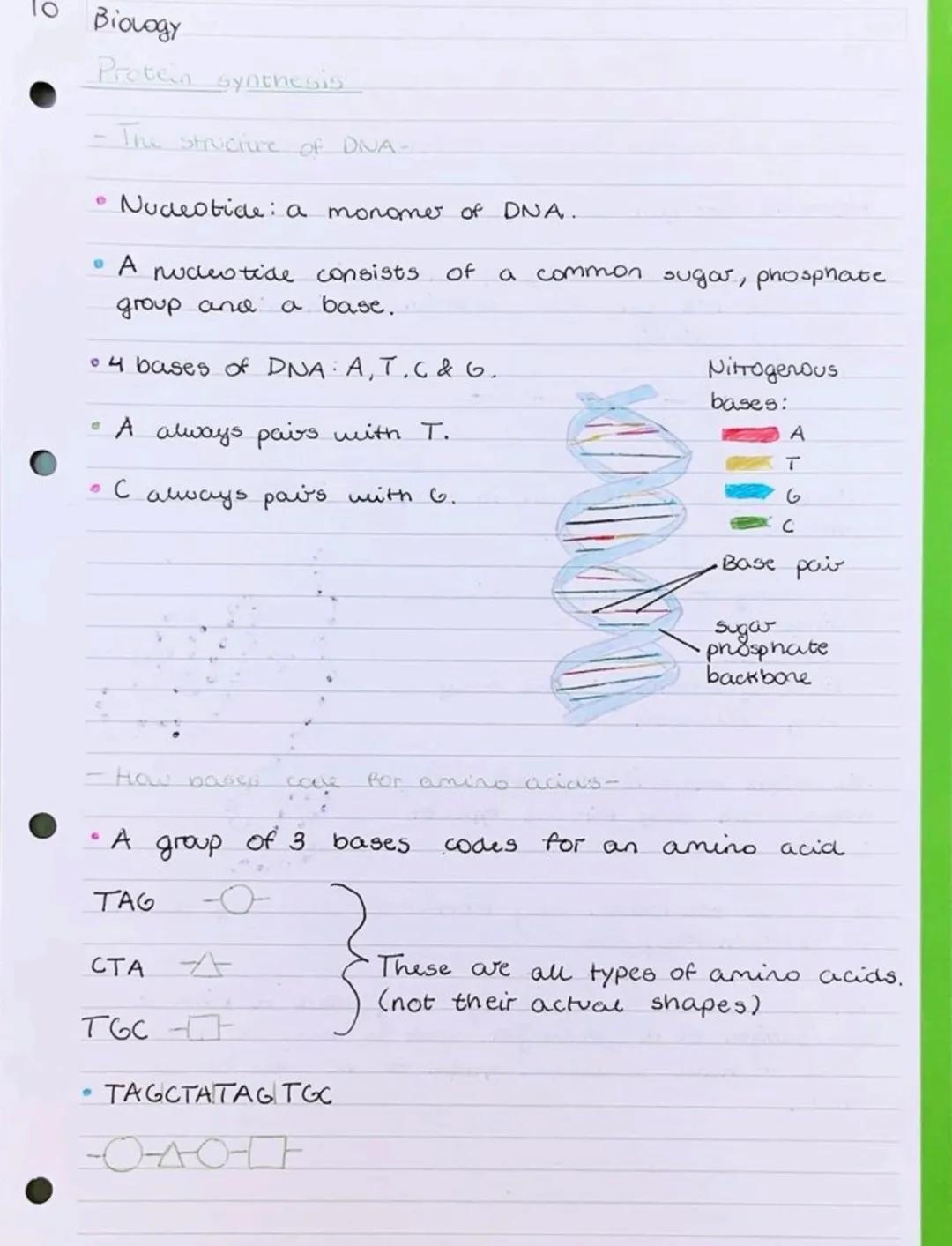 10
• Biology
Protein synthesis
- The structure of DINA-
• Nudeotide a monome of DNA.
• A nucleotide consists of a common sugar, phosphate
gr