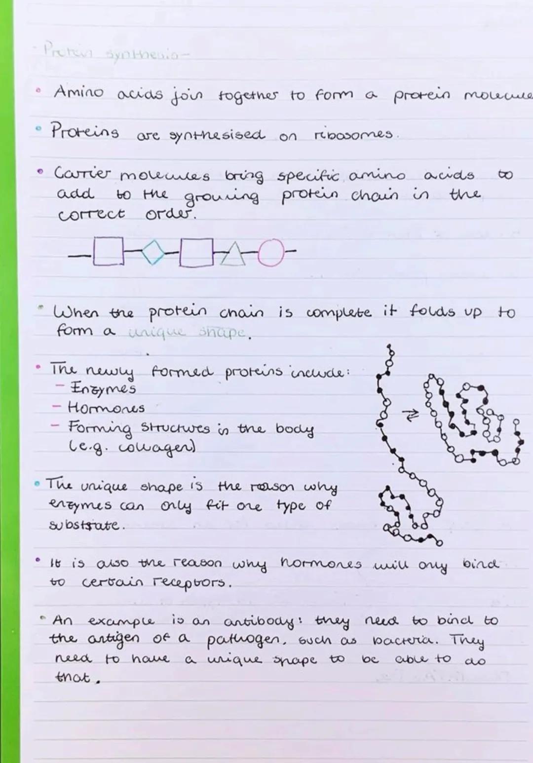 10
• Biology
Protein synthesis
- The structure of DINA-
• Nudeotide a monome of DNA.
• A nucleotide consists of a common sugar, phosphate
gr