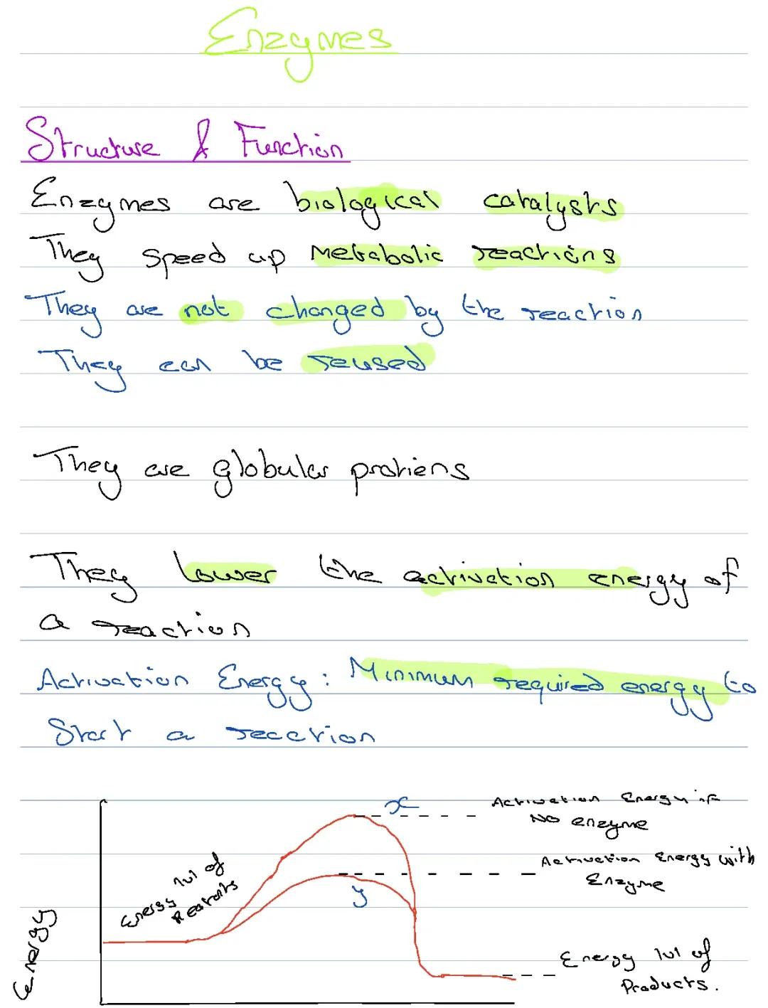 How Enzymes Work: From Activation Energy to Cool Temperature Tricks