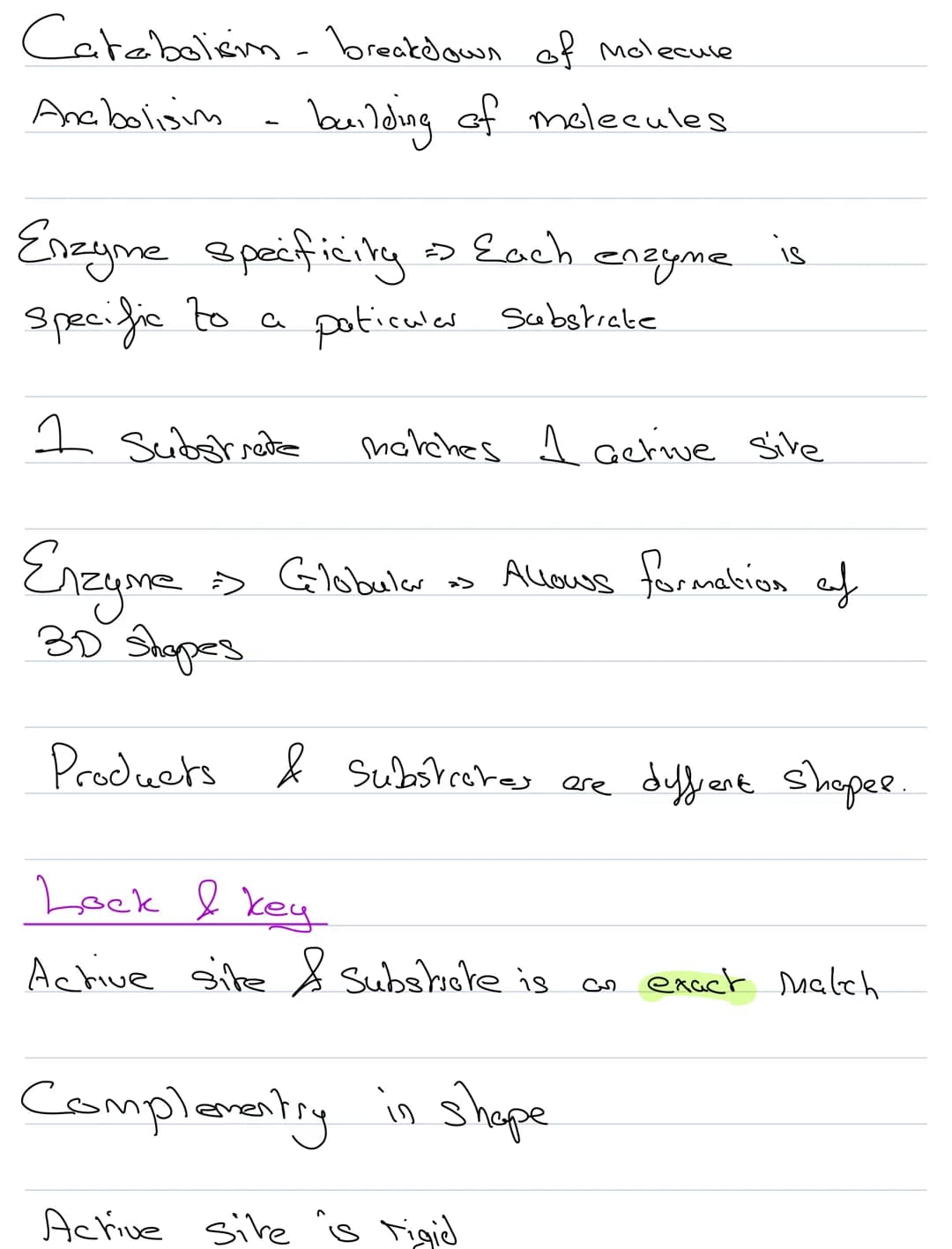 Structure & Function
Enzymes
biological catalysts
They speed up metabolic reactiong
They
are not changed by the reaction
be seused
They
Cene