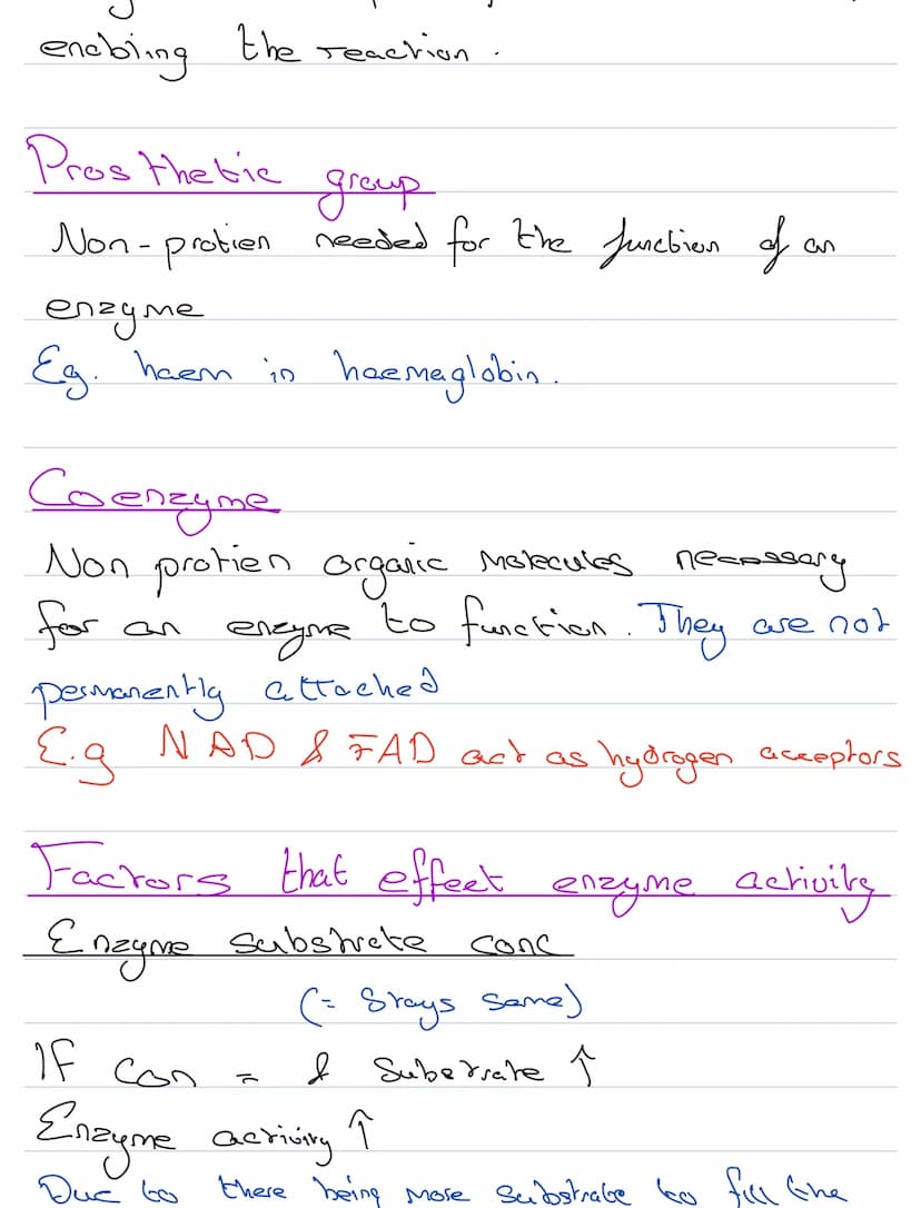 Structure & Function
Enzymes
biological catalysts
They speed up metabolic reactiong
They
are not changed by the reaction
be seused
They
Cene