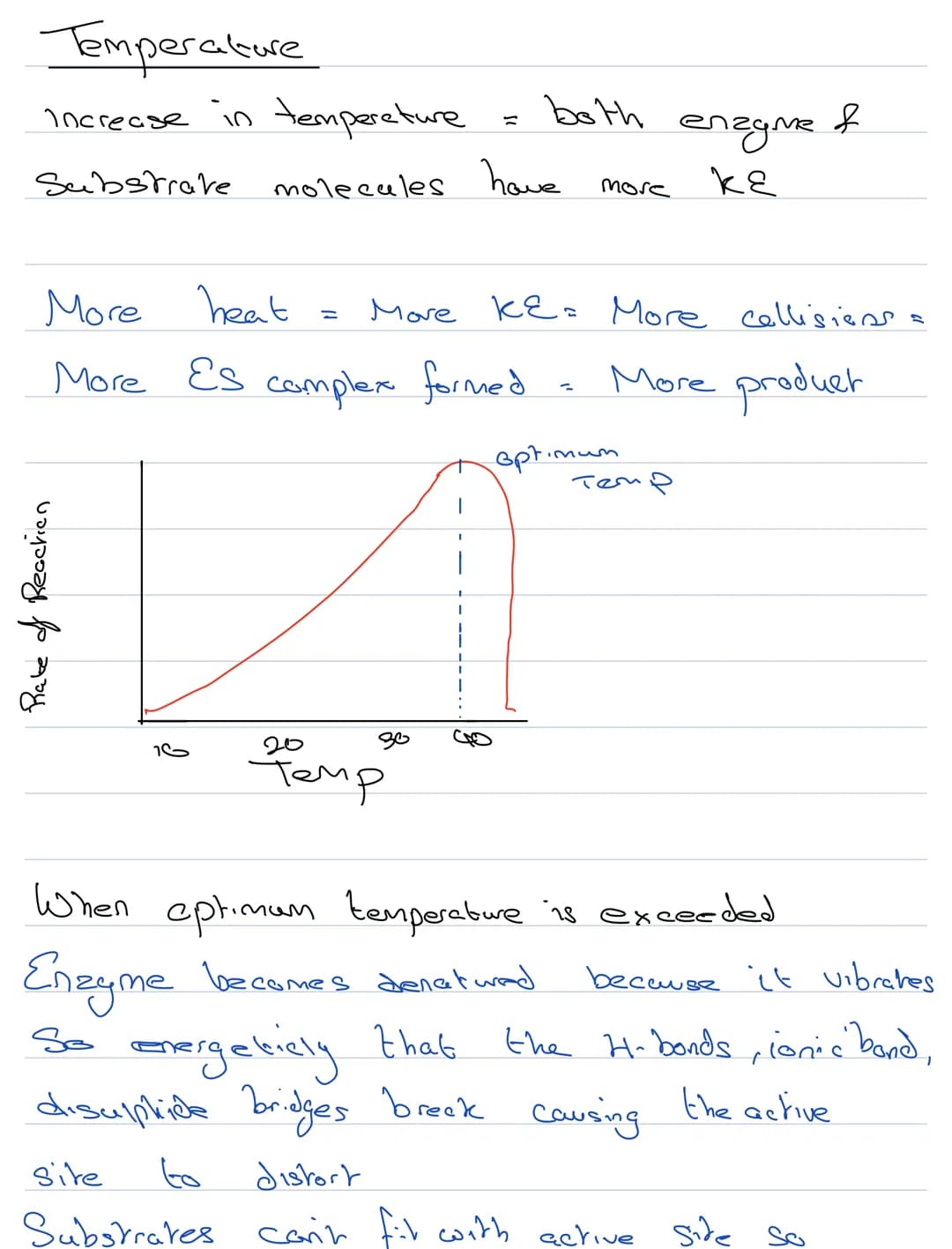 Structure & Function
Enzymes
biological catalysts
They speed up metabolic reactiong
They
are not changed by the reaction
be seused
They
Cene