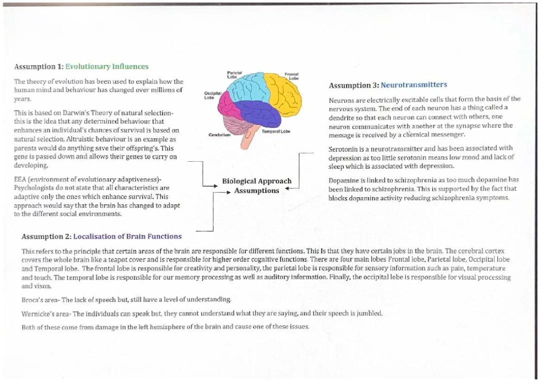 EDUQAS PSYCHOLOGY BIOLOGICAL APPROACH 