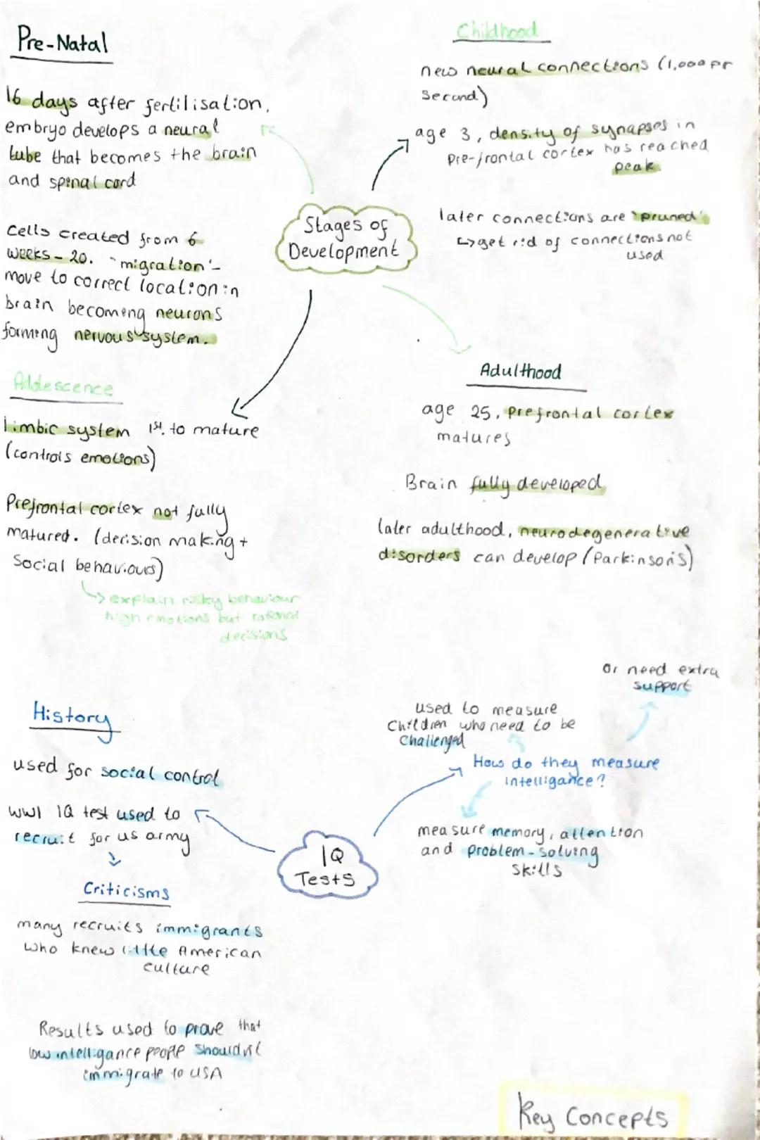 Pre-Natal
16 days after fertilisation,
embryo develops a neural
Lube that becomes the brain
and spinal cord
Cells created from 6
Weeks-20. m