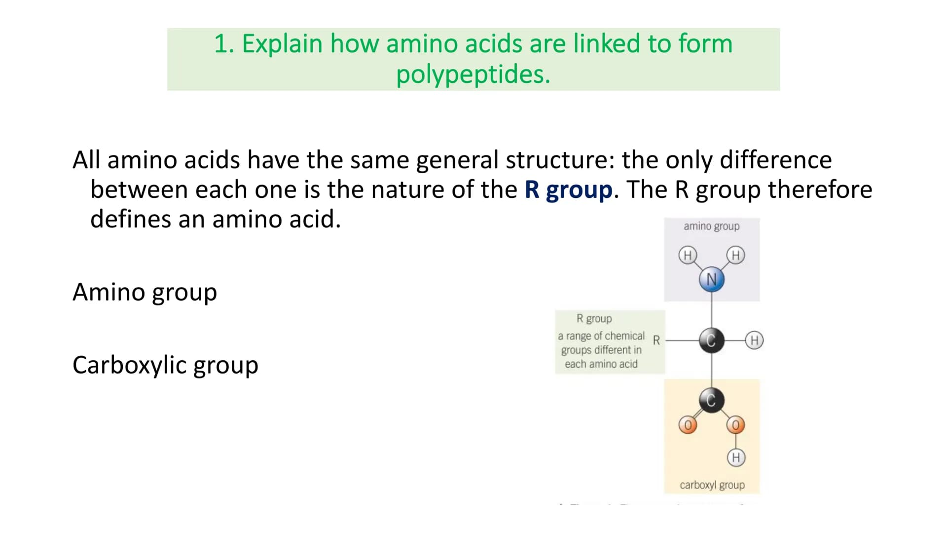 Do now:
1. What is meant by polyunsaturated?
2. Describe the difference between triglycerides
and phospholipids.
3. State the monosaccharide