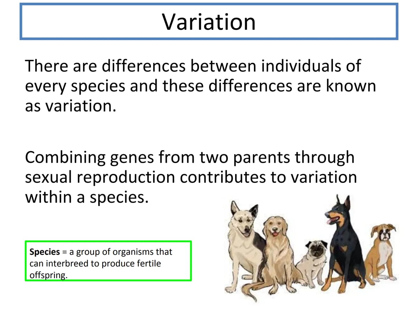 N5 Unit 2 KA4
Variation and Inheritance N5 biology course
1. Cell Biology
2.
3. Life on Earth
Multicellular Organisms Unit 2 - Multicellular