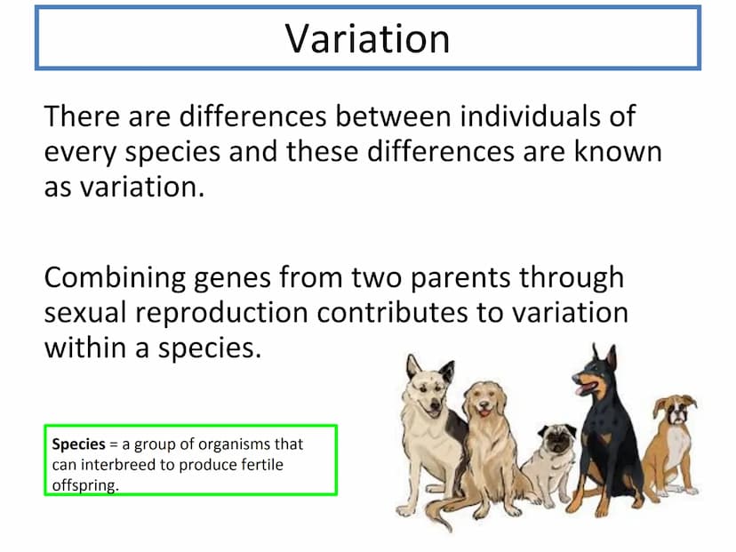 N5 Unit 2 KA4
Variation and Inheritance N5 biology course
1. Cell Biology
2.
3. Life on Earth
Multicellular Organisms Unit 2 - Multicellular