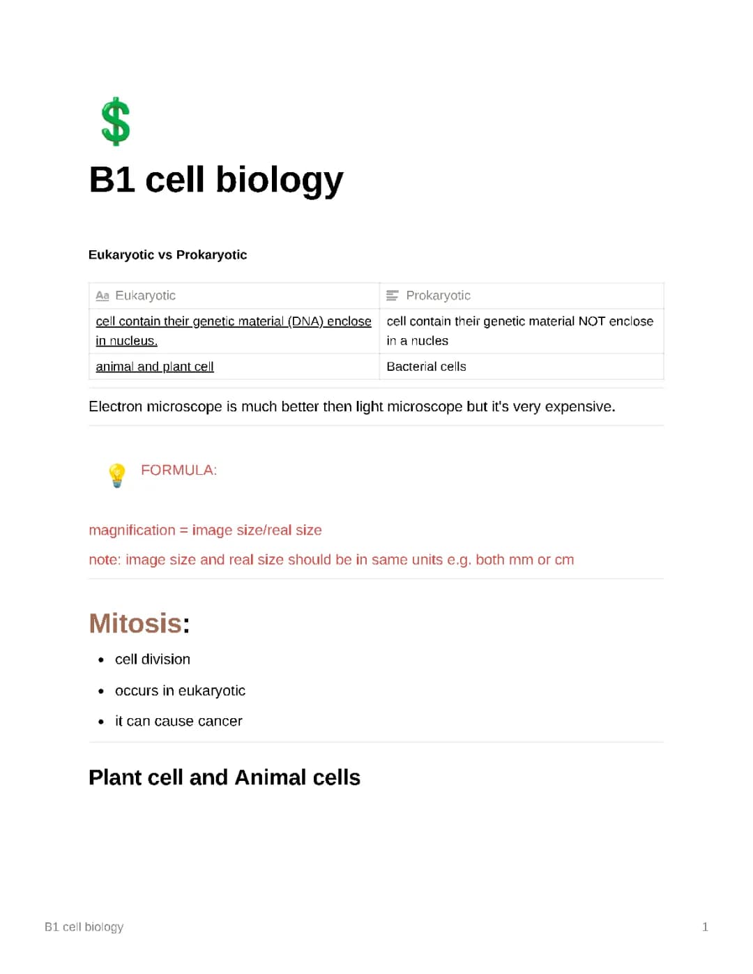B1 cell biology