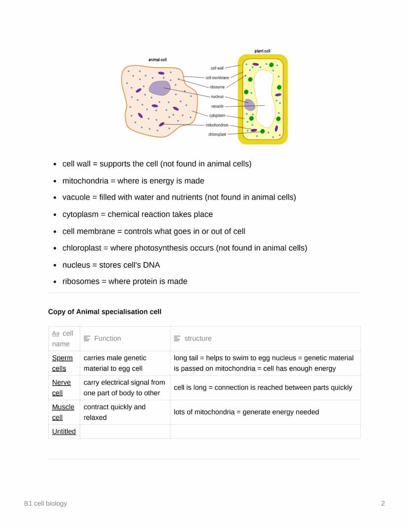 $
B1 cell biology
Eukaryotic vs Prokaryotic
Aa Eukaryotic
Prokaryotic
cell contain their genetic material (DNA) enclose cell contain their g