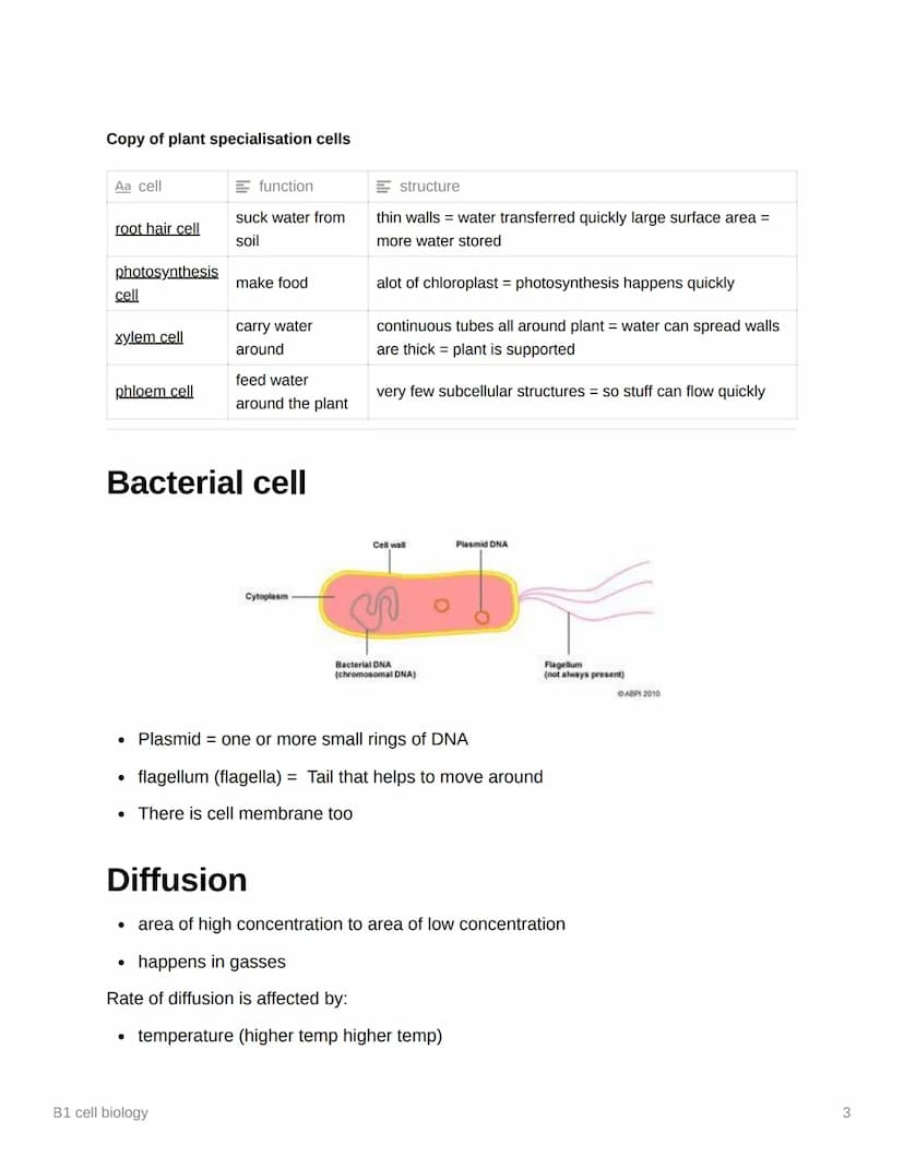 $
B1 cell biology
Eukaryotic vs Prokaryotic
Aa Eukaryotic
Prokaryotic
cell contain their genetic material (DNA) enclose cell contain their g