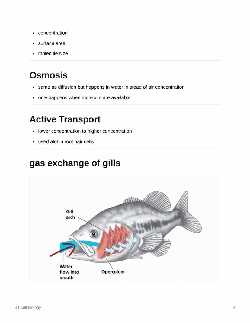 $
B1 cell biology
Eukaryotic vs Prokaryotic
Aa Eukaryotic
Prokaryotic
cell contain their genetic material (DNA) enclose cell contain their g