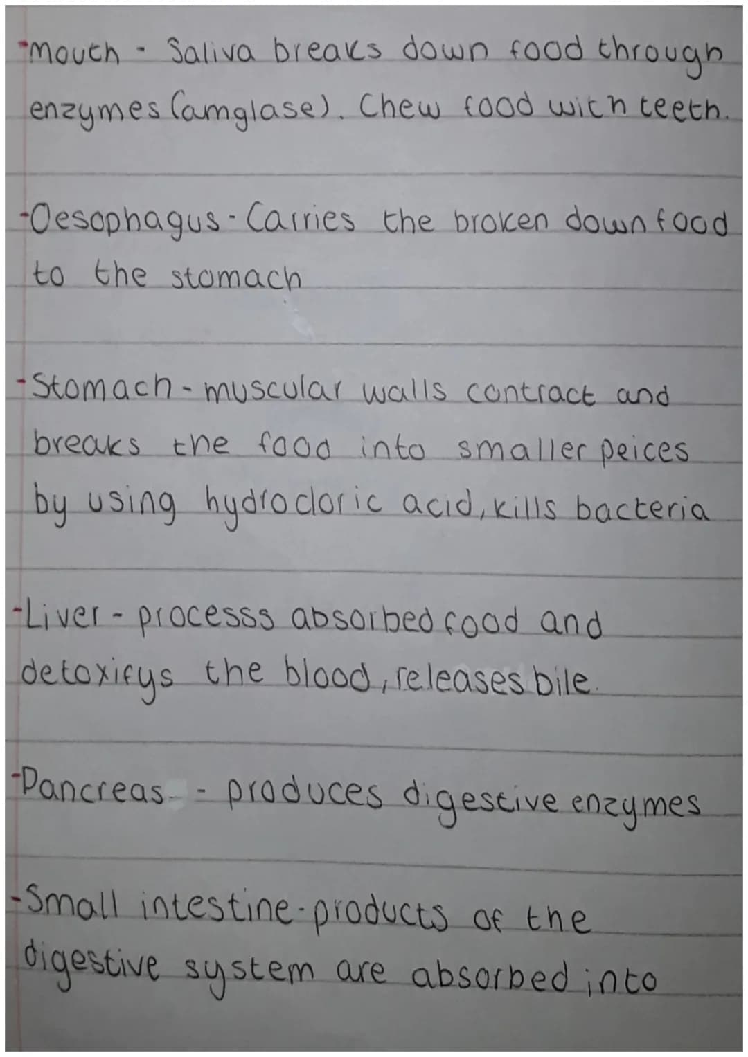 Mouth-
Salivary glands
Liver.
Gall bladder.
small intestine.
Appendix
Oesophagus
NEO
Anus
Stomach
Pancreas
Large
intestine
Rectum "Mouch - S