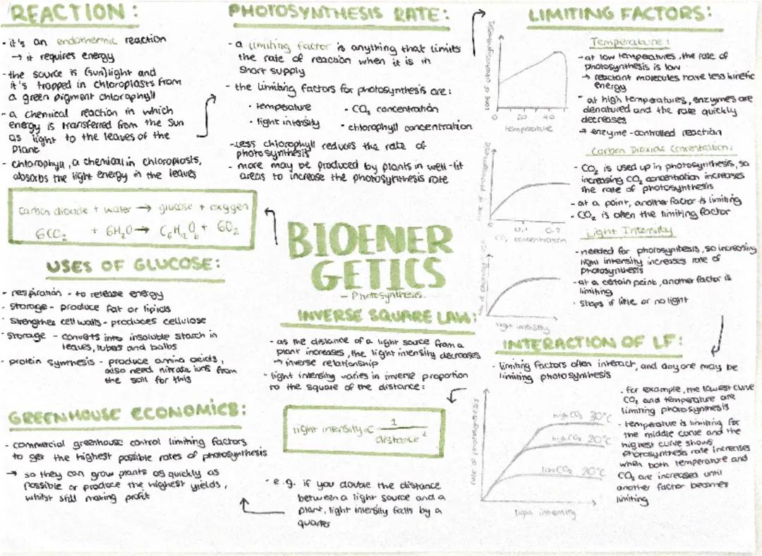 Bioenergetics topic 4 aqa gsce biology