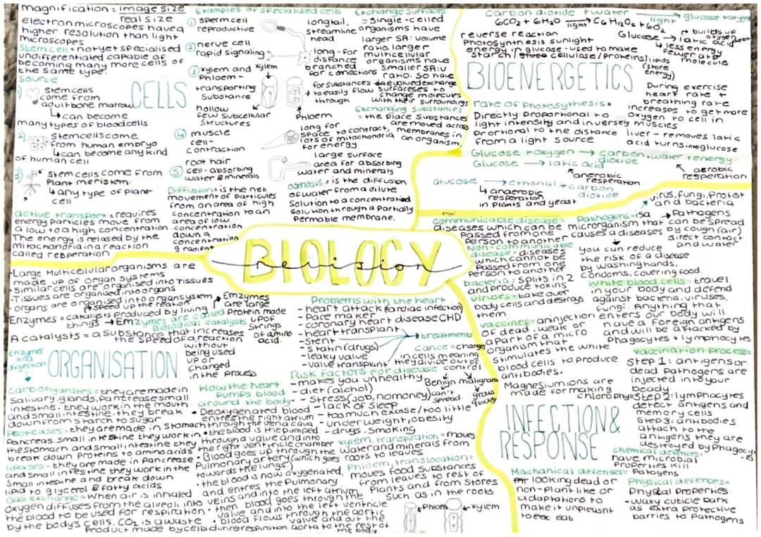 Paper 1 biology Mind map 