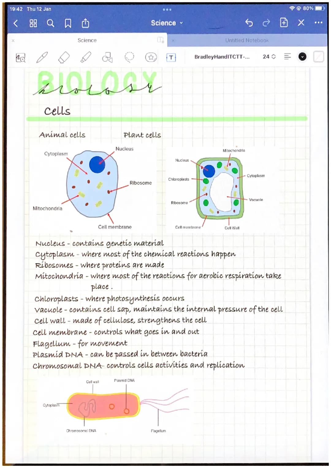 19:42 Thu 12 Jan
Le
سلمة
Cells
Animal cells
Cytoplasm
Science
Mitochondria
Cytoplasm
Nucleus
Plant cells
Cell membrane
Cell wall
Chromosomal