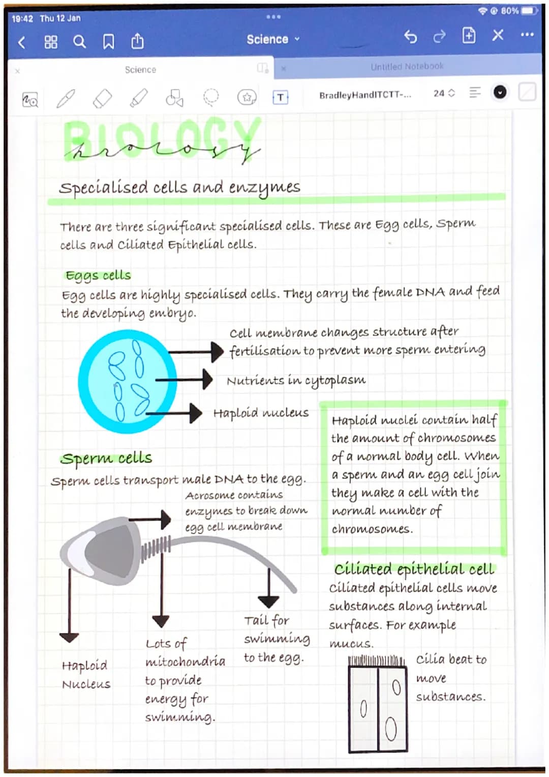 19:42 Thu 12 Jan
Le
سلمة
Cells
Animal cells
Cytoplasm
Science
Mitochondria
Cytoplasm
Nucleus
Plant cells
Cell membrane
Cell wall
Chromosomal