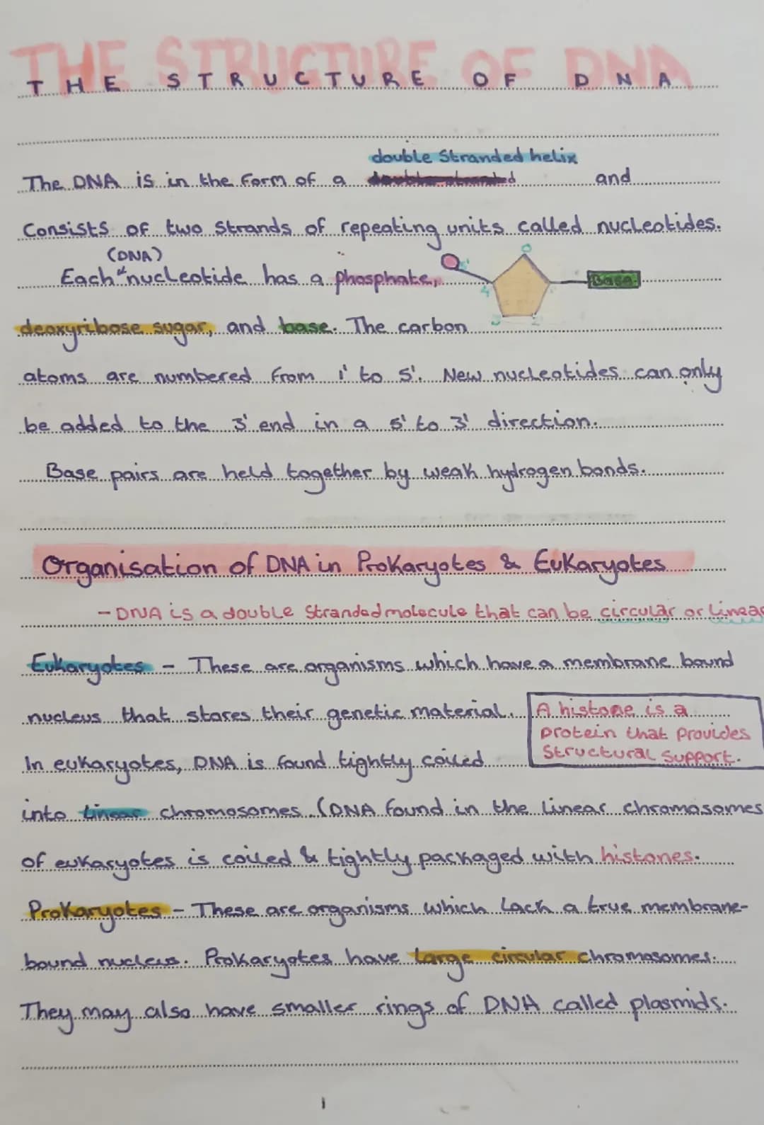 SQA Higher Biology: Unit 1