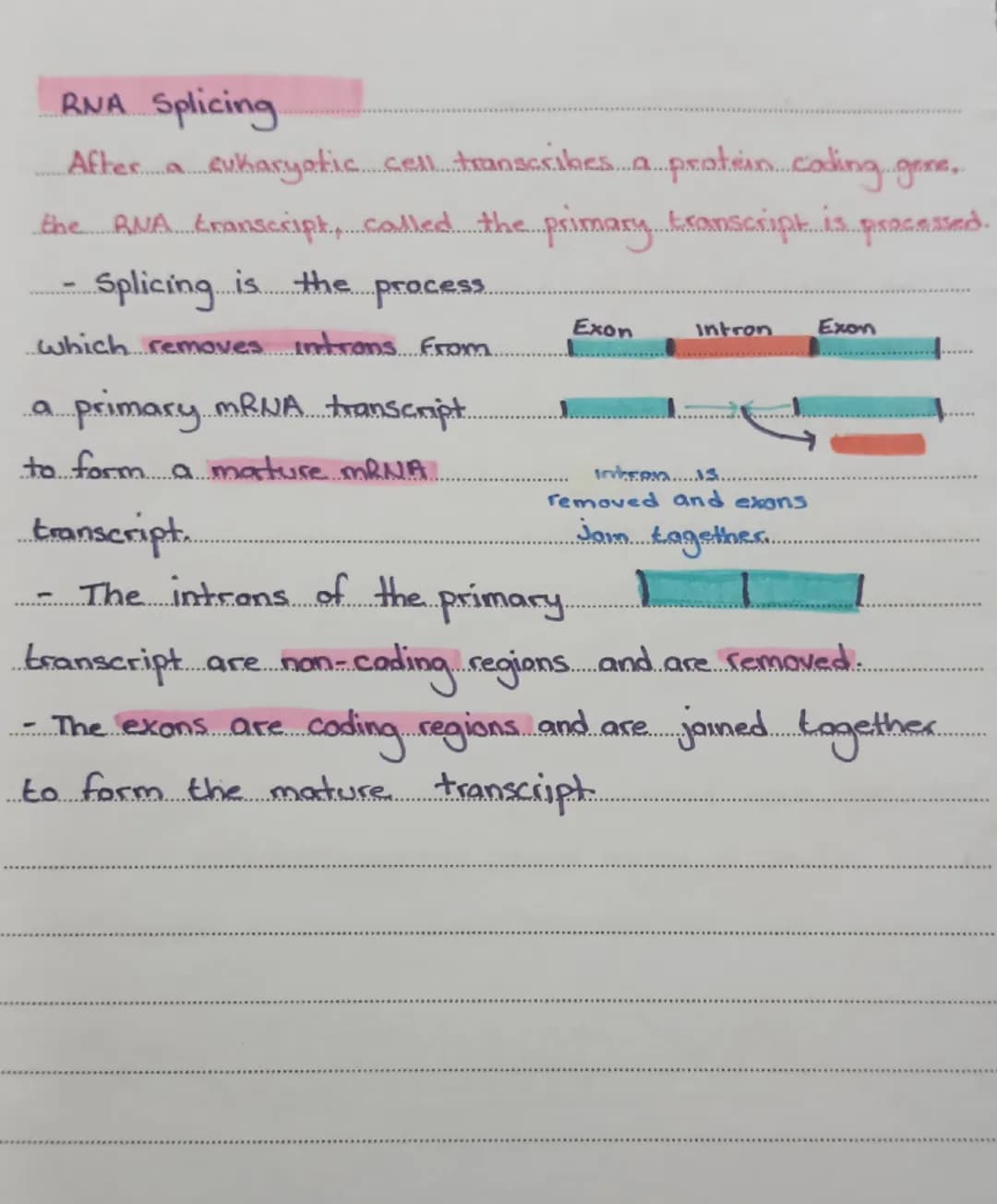 THE STRUCTURE OF DHA
double Stranded helix
and
The DNA is in the form of a doubled
Consists of two strands of repeating units called nucleot